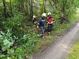 Foto_03
