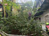 Foto_05