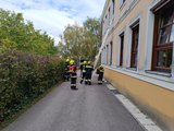 Foto6