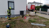 klein_07